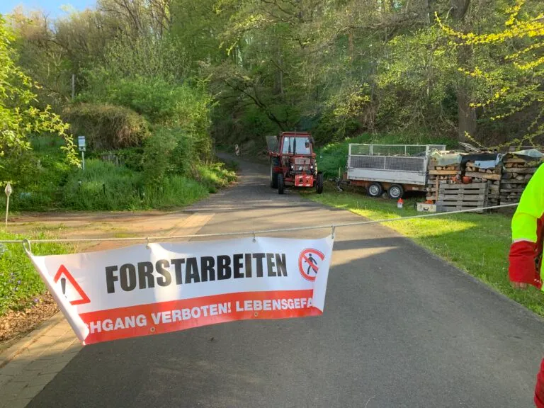 Forstarbeiten